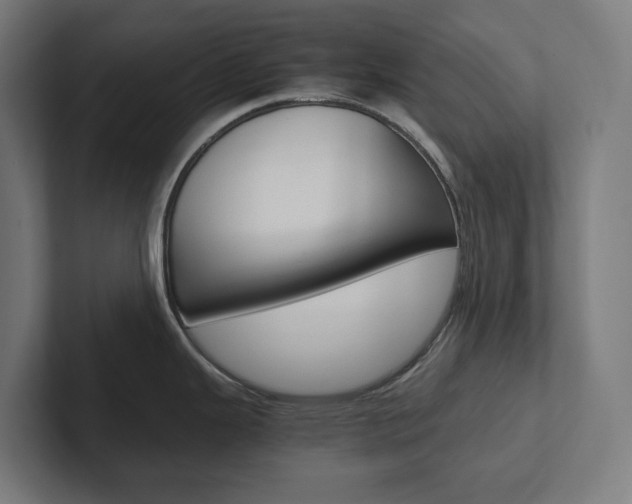 X0000102381343200808010907