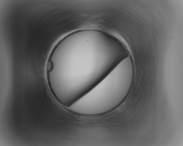 X0000102381344200808010907