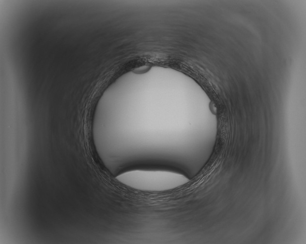 X0000102381345200808010906