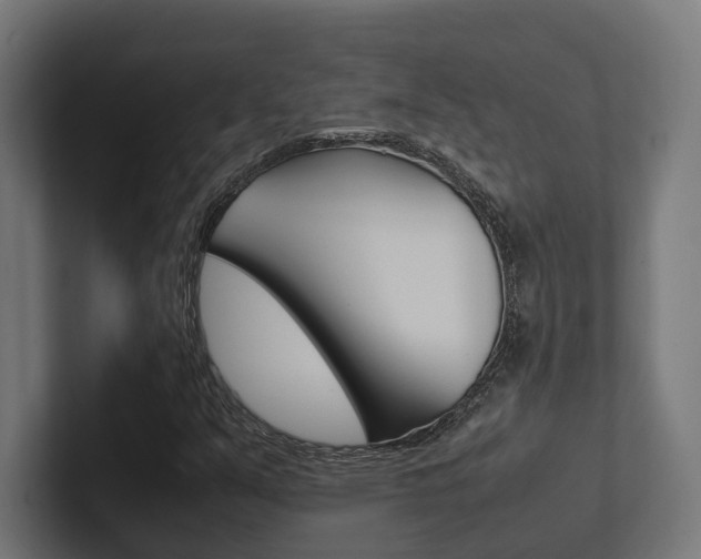 X0000102381351200808010906