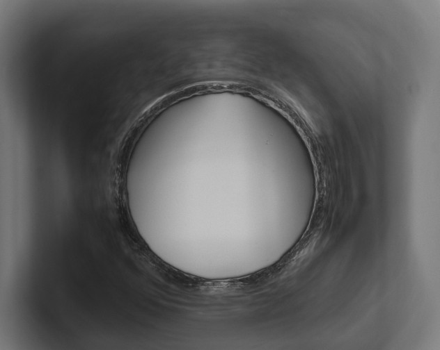 X0000102381352200808010906