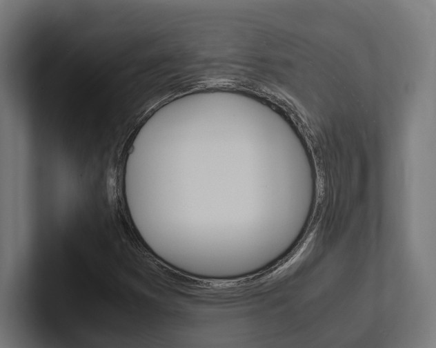 X0000102381353200808010906