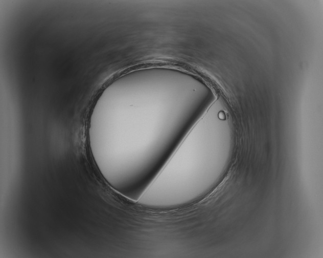 X0000102381355200808010906