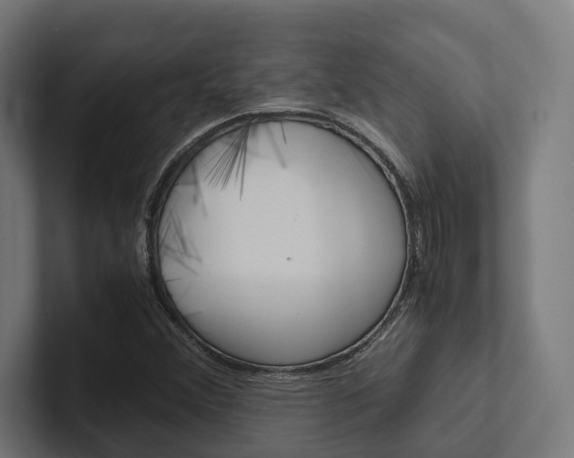 X0000102381356200808010906