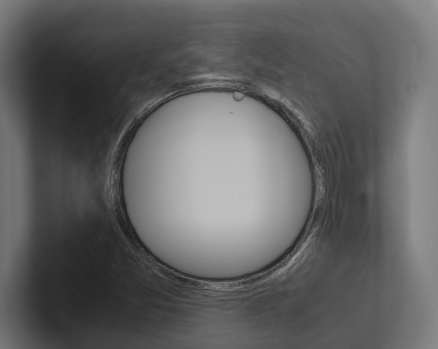 X0000102381357200808010906