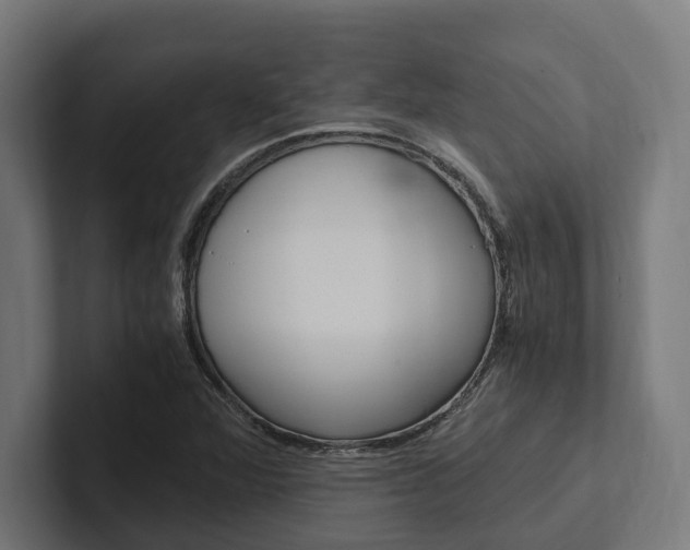 X0000102381360200808010906