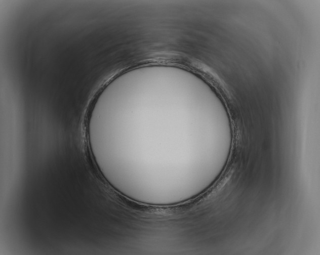 X0000102381362200808010906