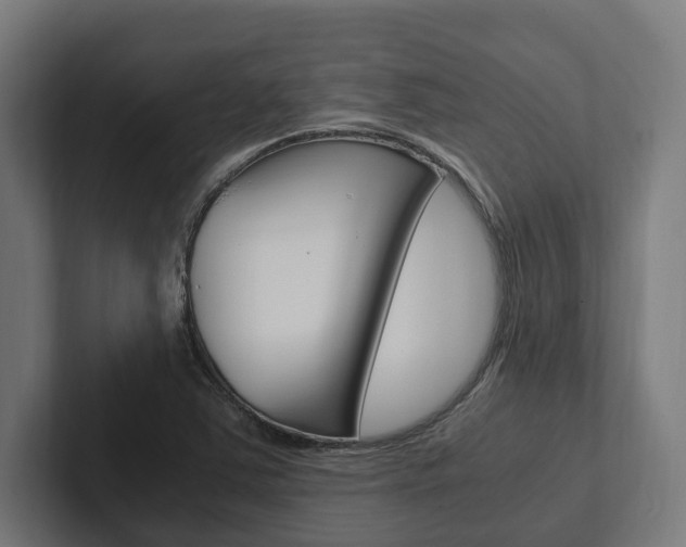 X0000102381363200808010906