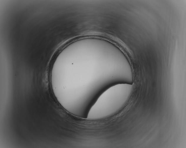 X0000102381364200808010906