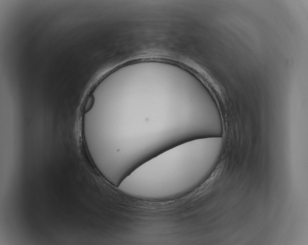 X0000102381366200808010906