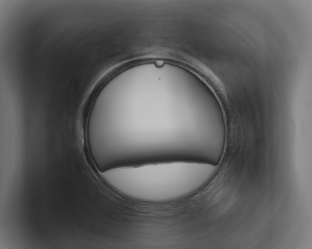 X0000102381368200808010906