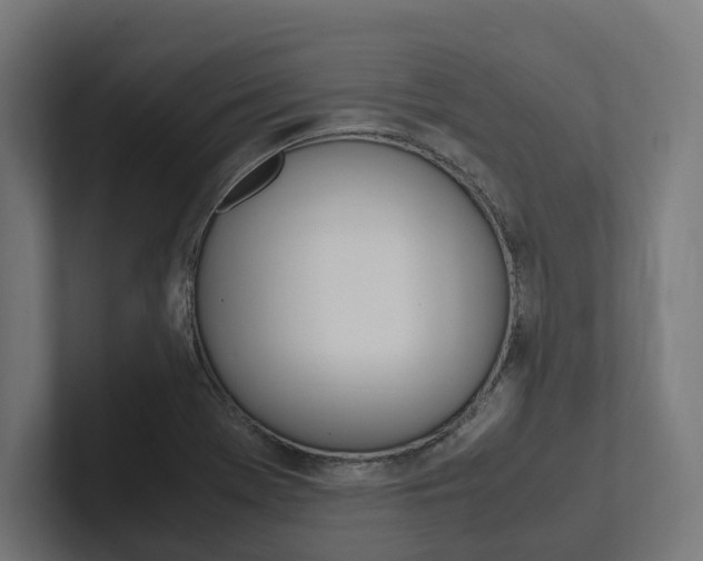 X0000102381369200808010906