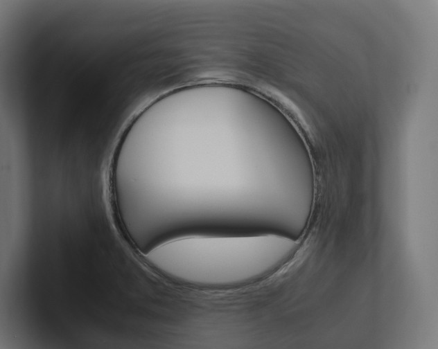 X0000102381373200808010906
