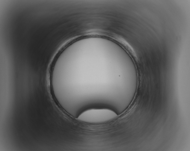 X0000102381376200808010906