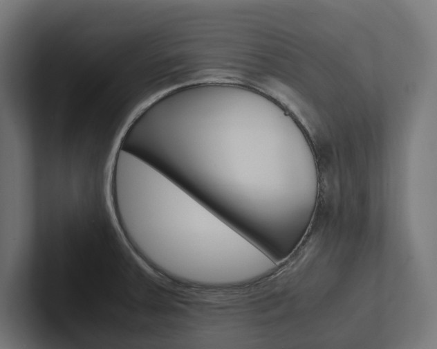 X0000102381379200808010906