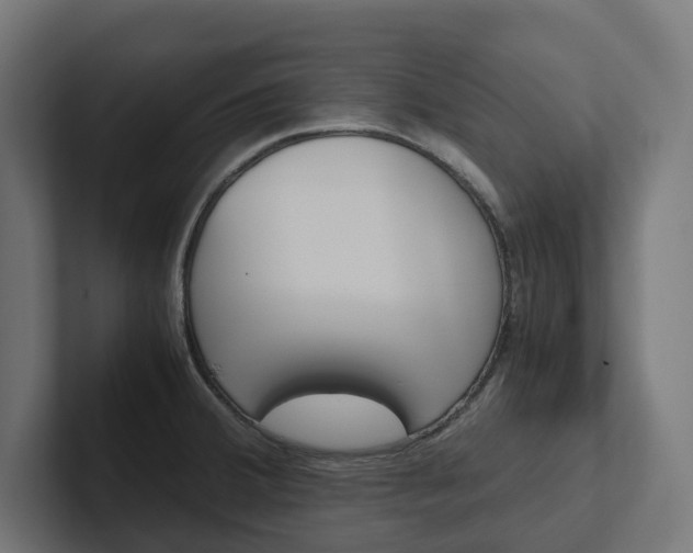 X0000102381380200808010906