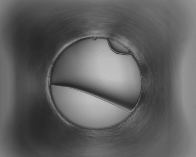 X0000102381383200808010905