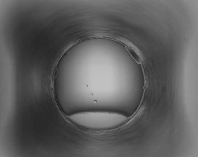 X0000102381385200808010905