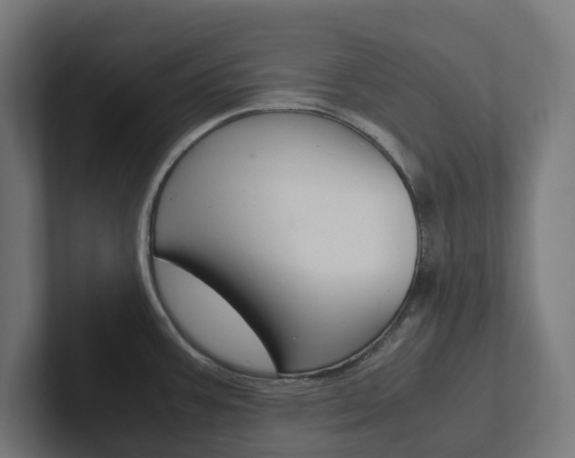 X0000102381387200808010905