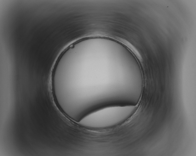 X0000102381388200808010905
