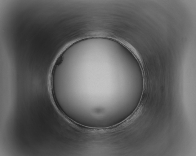 X0000102381389200808010905