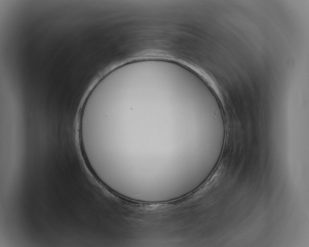 X0000102381390200808010905
