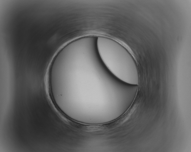 X0000102381391200808010905