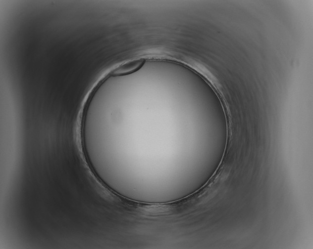 X0000102381392200808010905