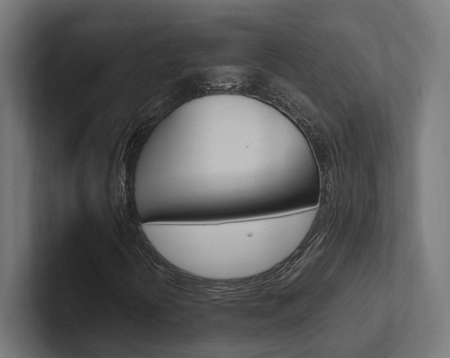 X0000102381394200808010905