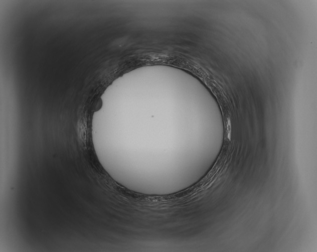 X0000102381395200808010905