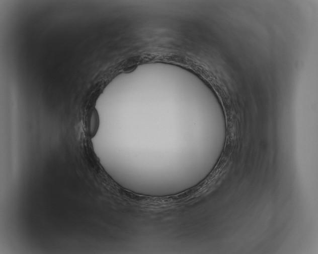 X0000102381397200808010905