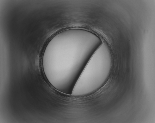 X0000102381404200808010905