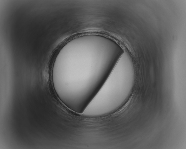 X0000102381406200808010905