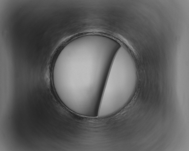 X0000102381408200808010905