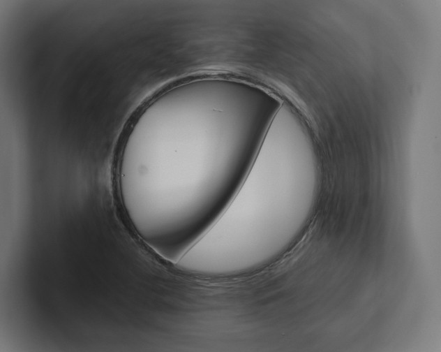 X0000102381412200808010905