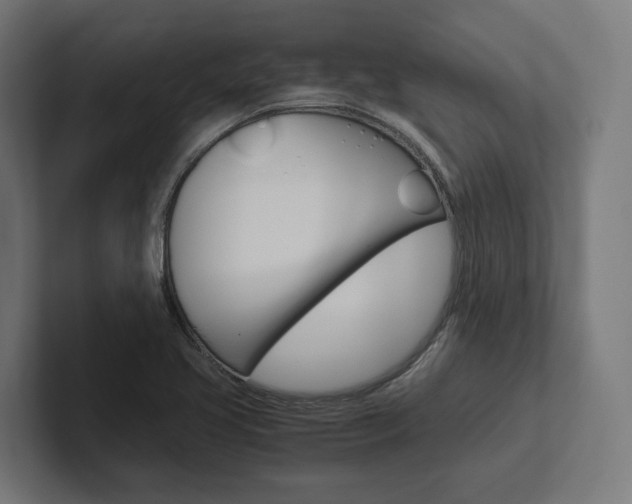 X0000102381413200808010905