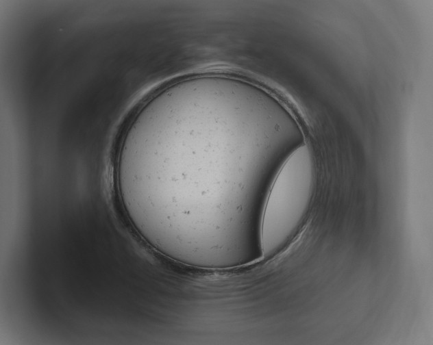 X0000102381414200808010905
