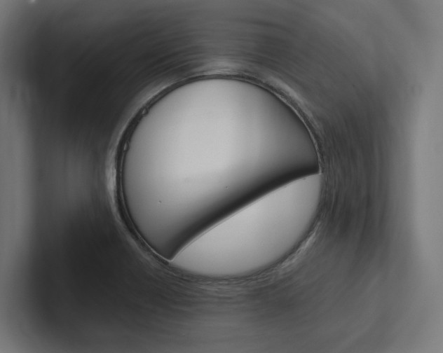X0000102381418200808010905