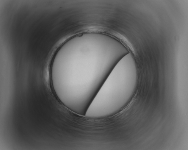 X0000102381419200808010905