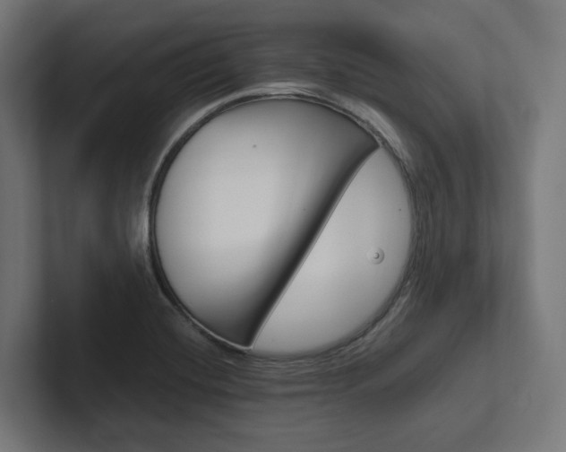 X0000102381420200808010905