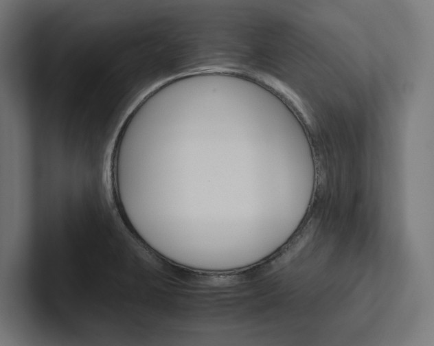 X0000102381423200808010905