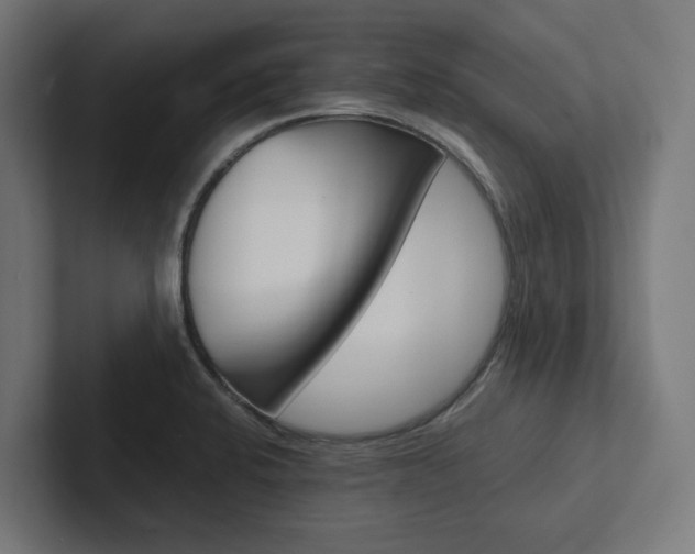 X0000102381424200808010905