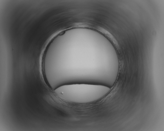 X0000102381427200808010905