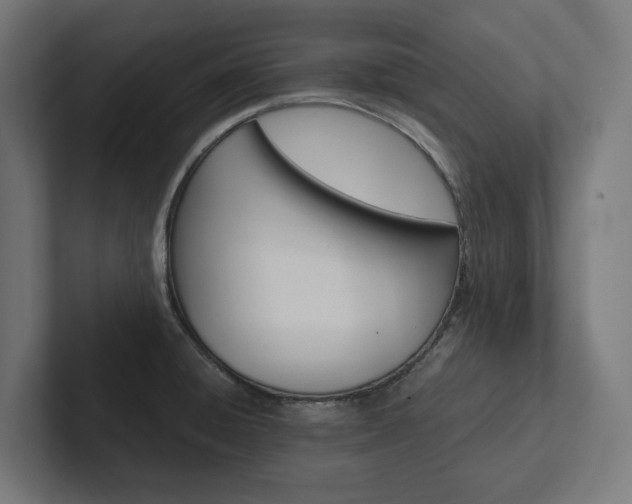 X0000102381428200808010905