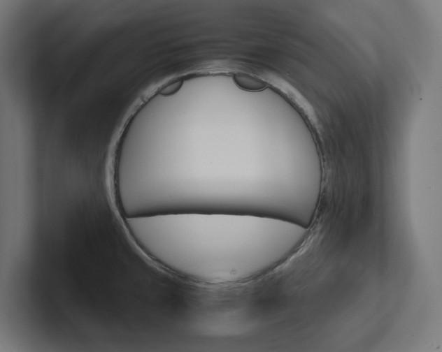 X0000102381429200808010905