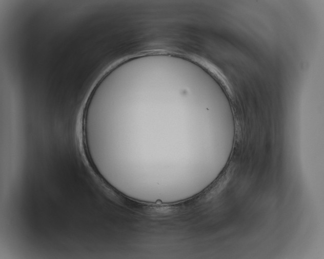 X0000102381431200808010905