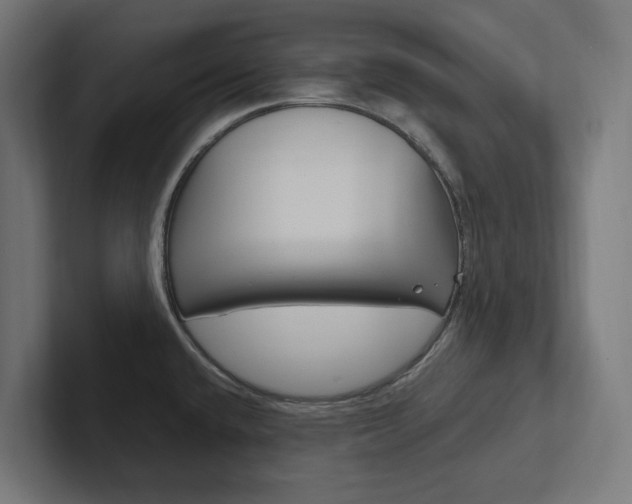X0000102381432200808010905
