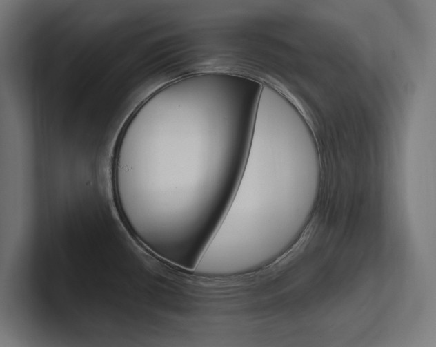 X0000102381434200808010905