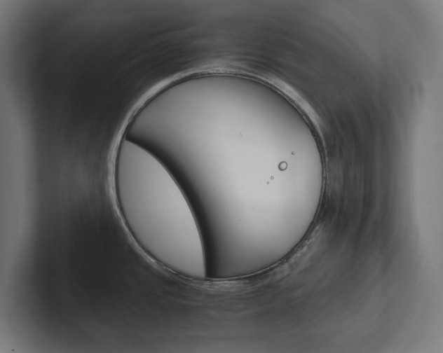 X0000102381437200808010905