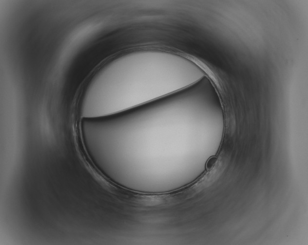 X0000102381438200808010905